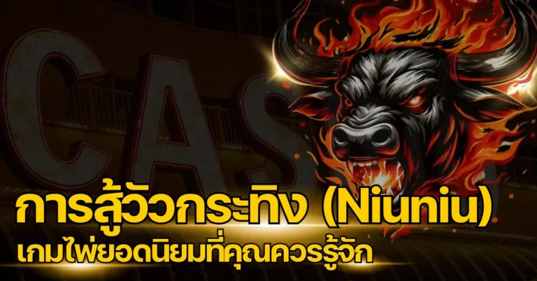 ปก การสู้วัวกระทิง