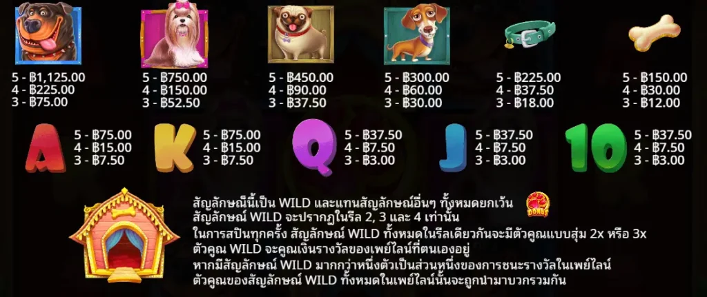 The Dog House สล็อตน้องหมาสุดน่ารักจาก Pragmatic Play ที่สายปั่นห้ามพลาด 4 3 7