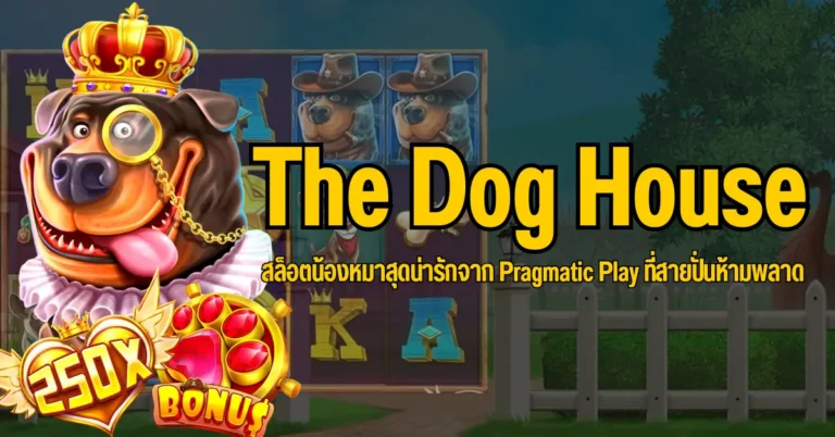 ปก The Dog House