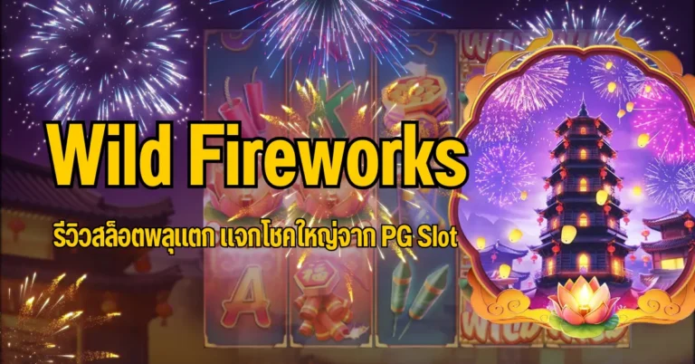 ปก Wild Fireworks