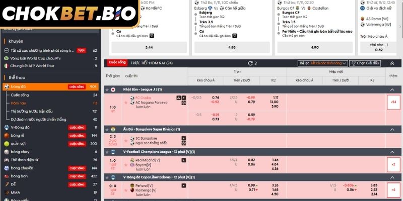 ห้องโถง BTI Chokbet – ประสบการณ์การเดิมพันกีฬาชั้นนำ 3 ค้นคว้าข้อมูลให้รอบคอบก่อนจะปิดการตกลง