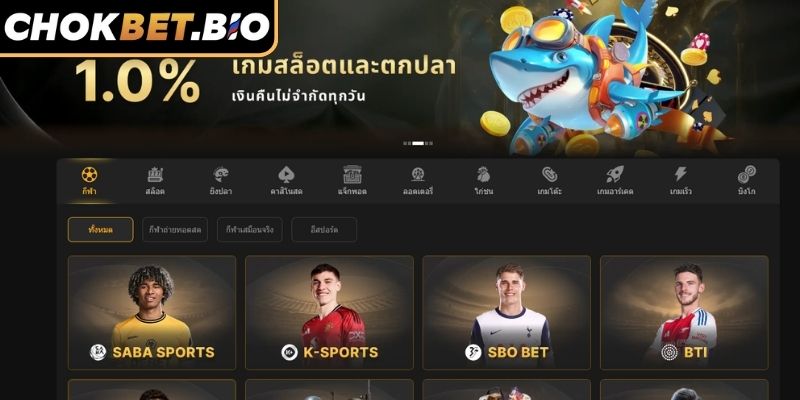 ภาพรวมของโปรโมชั่นโชคเบท
